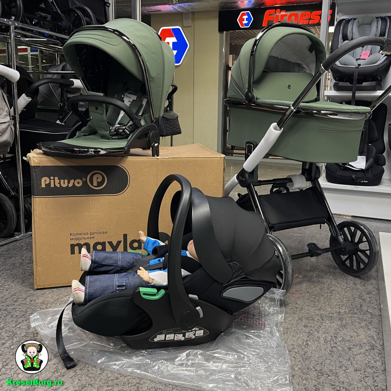 PITUSO MAYLA LUX 2/3 в 1 Модульная коляска с рождения